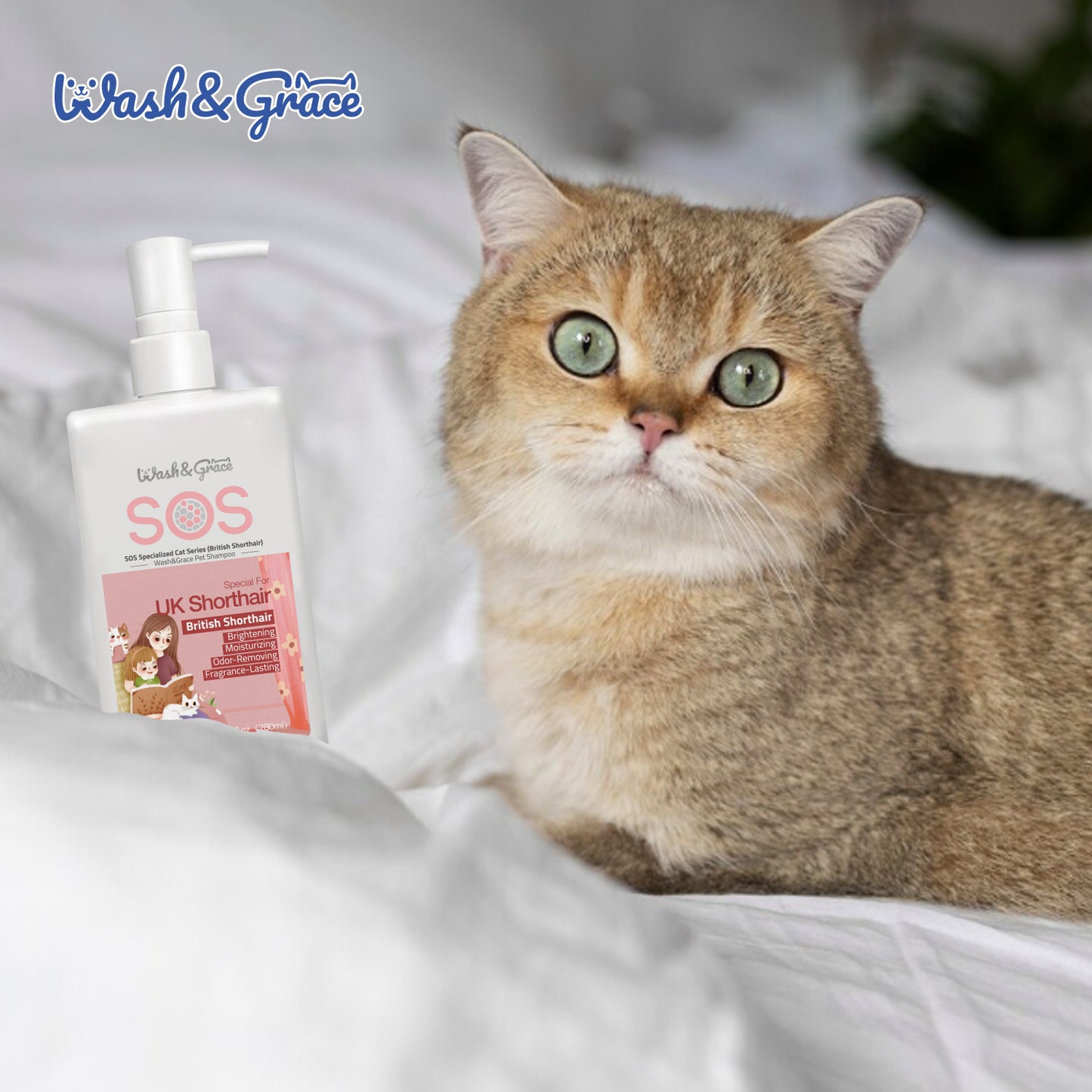 SOS Special Cat Series (British Shorthair) Shampoo